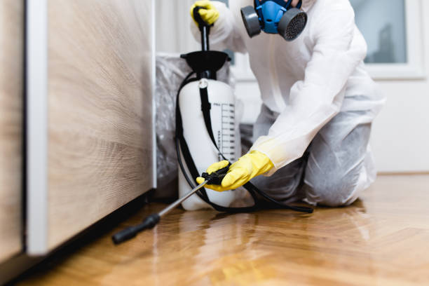 Best Pest Inspection Near Me  in Andale, KS