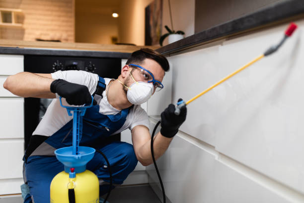 Pest Control for Restaurants in Andale, KS
