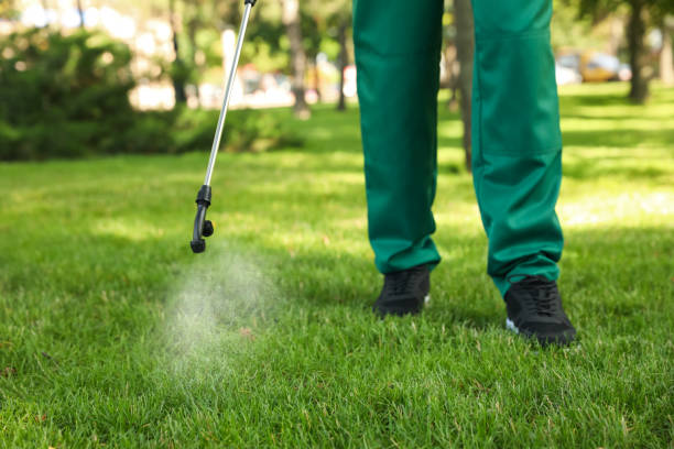 Best Insect Control  in Andale, KS
